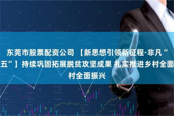 东莞市股票配资公司 【新思想引领新征程·非凡“十四五”】持续巩固拓展脱贫攻坚成果 扎实推进乡村全面振兴